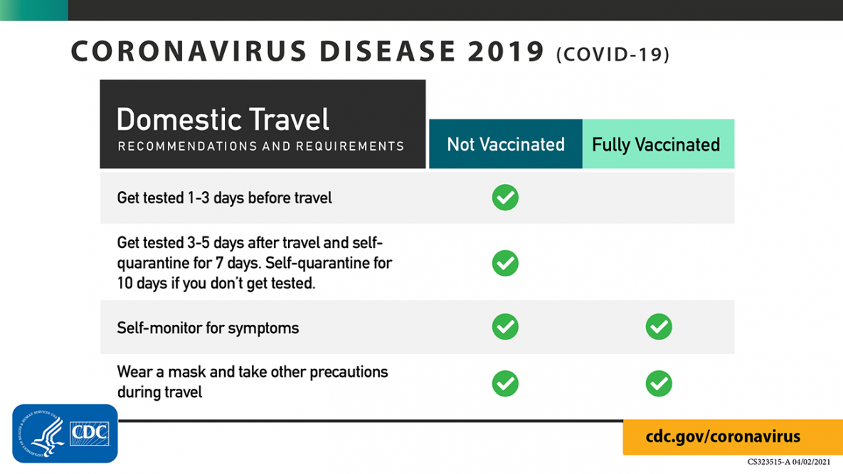 Covid Domestic Travel